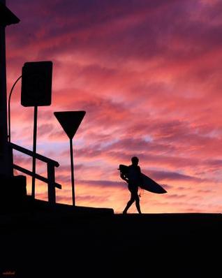 Read Online Notebook: 80 Lined Pages, 8 X 10, Glossy Cover -  | PDF