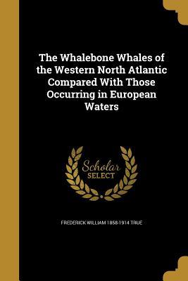 Read The Whalebone Whales of the Western North Atlantic Compared with Those Occurring in European Waters - Frederick William True file in PDF