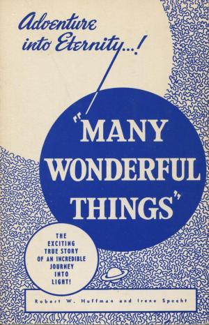 Full Download Many Wonderful Things: An Incredible Journey into Light - Robert Huffman | PDF