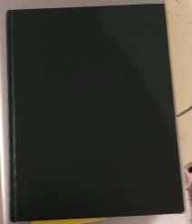 Read The Black Madonna Shrine and Grotto and Other Stories - Trenton Lee Stewart | PDF