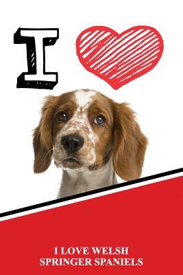 Read Online I Love Welsh Springer Spaniels: Isometric Dot Paper Portrait Notebook 120 Pages 6x9 -  file in ePub